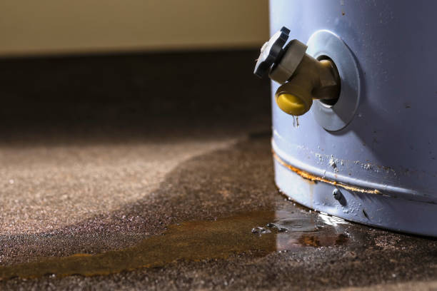 Best Ceiling water damage repair  in Belle Meade, TN