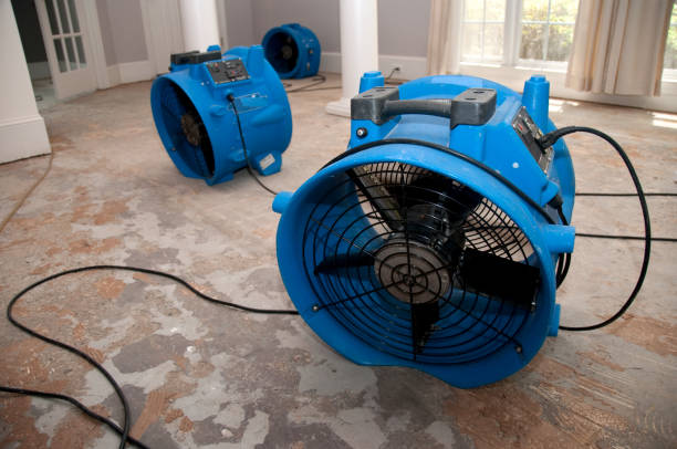 Best Professional water damage repair  in Belle Meade, TN