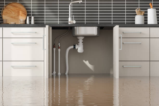 Best Water damage contractors near me  in Belle Meade, TN