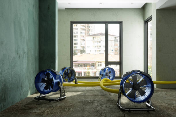 Best Emergency water damage restoration  in Belle Meade, TN