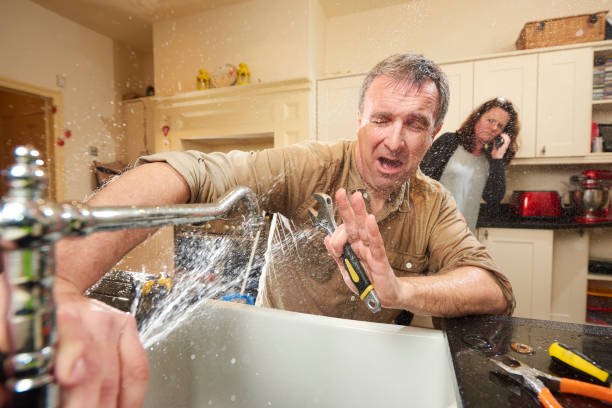 Best Water damage restoration mold remediation  in Belle Meade, TN